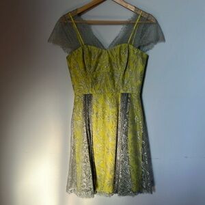 BCBG Max Azria lace dress silver and gold